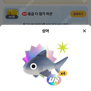 틱톡 UR상어 팝니다 도루묵 삽니다