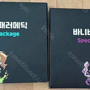 던파 던전앤파이터 스페셜 패키지 ( 패러메딕 키메라 ) 팝니다