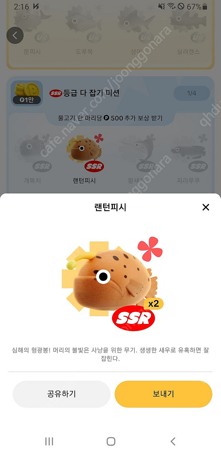 티톡 랜턴피시 팝니다 2500원--0