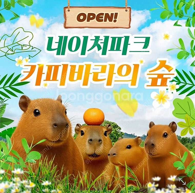 네이처파크 1+1=2인 종일권 판매(바로입장 가능)--0