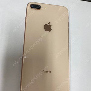 497933 아이폰8플러스 아이폰8+ 로즈골드 액정+뒷면SS급 256GB 무잔상 배터리100% 자녀폰 추천 23만 부천