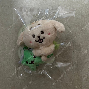 엔시티 위시 nct wish 위시돌 doll 인형 로그인 엠디 log in md 아시아투어 아투 대영 재희 미니돌 댕트리버