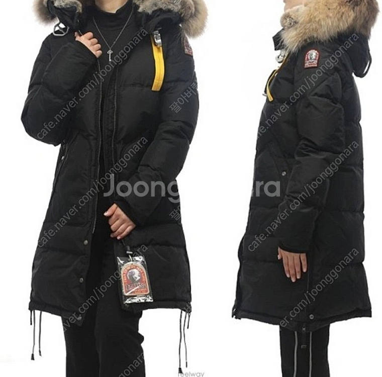 파라점퍼스롱베어--0
