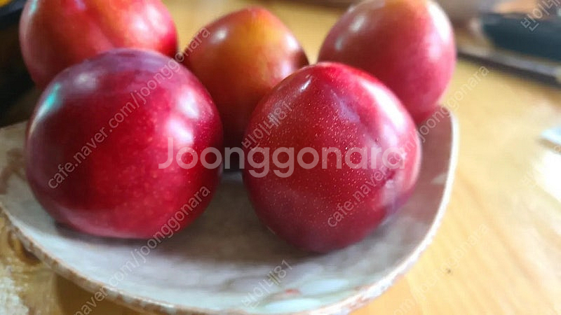 의성옥자두 5kg 12500원. 의성밭에서바로보내요--3