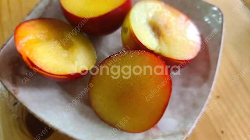 의성옥자두 5kg 12500원. 의성밭에서바로보내요--4