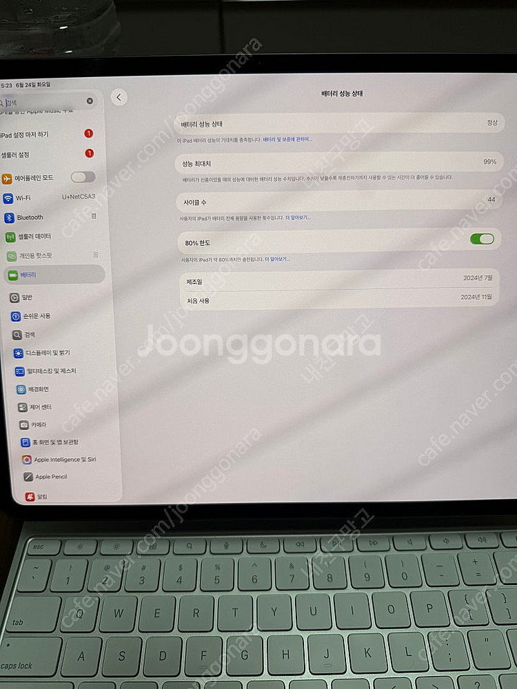 아이패드 프로 m4 13인치 셀룰러--2