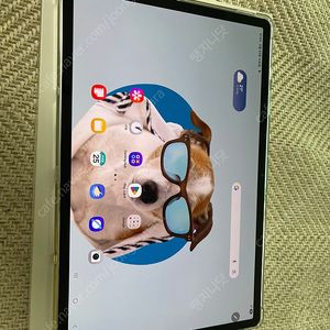 갤럭시탭 s9+(s9 플러스) 베이지 색상 판매합니다