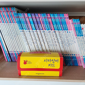 탄탄 사자성어 그림한자