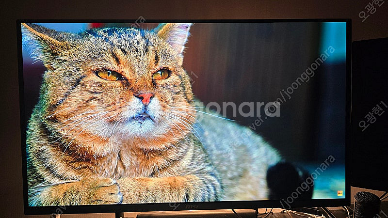 [용인]msi mpg321urx-qd oled 4k 2...--0