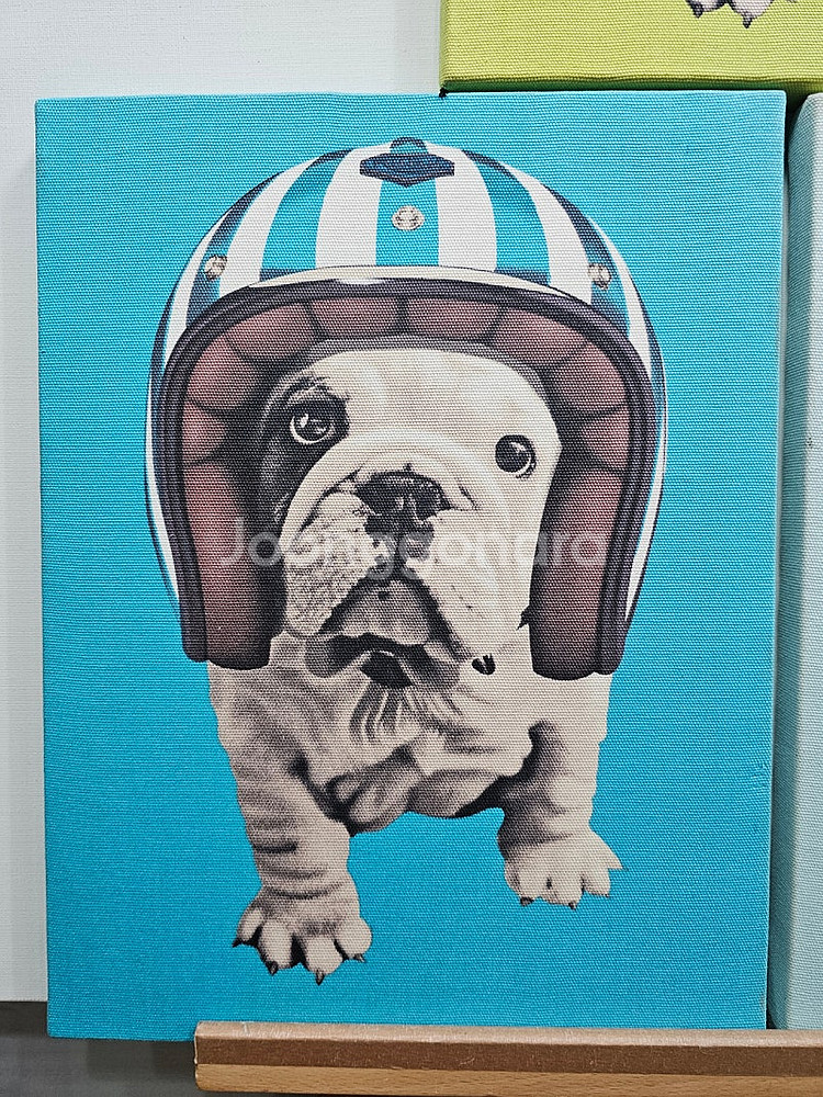 강아지 아트프린트 인테리어 액자 32x41cm 서양화 ...--2