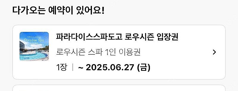 파라다이스도고 성인1인 입장권 -6.27 금--0