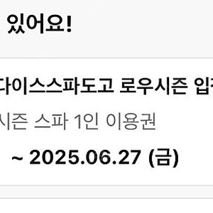 파라다이스도고 성인1인 입장권 -6.27 금