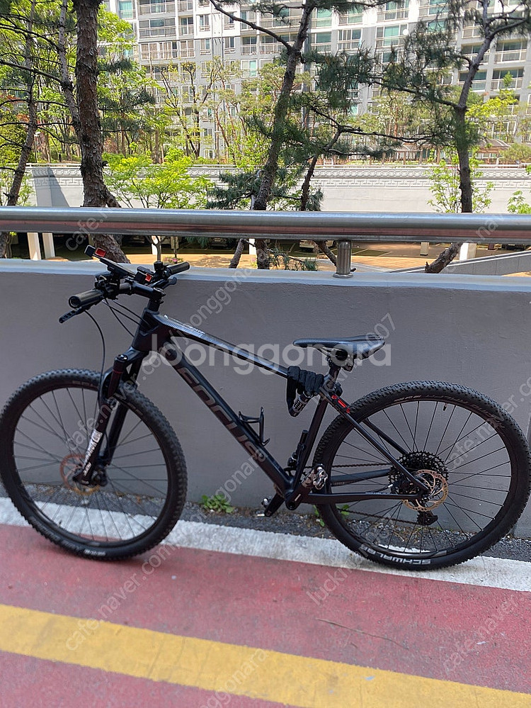 포커스레이븐 MTB 자전거판매합니다. 수원--0