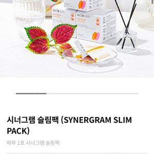 시너그램