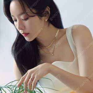 골든듀 비스마르크 목걸이 판매합니다
