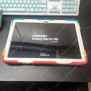 갤럭시탭 S7+ 256GB 5G+WiFi (SM-T976N)