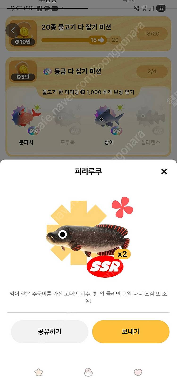 틱톡 라이트 피라루쿠팝니다--0