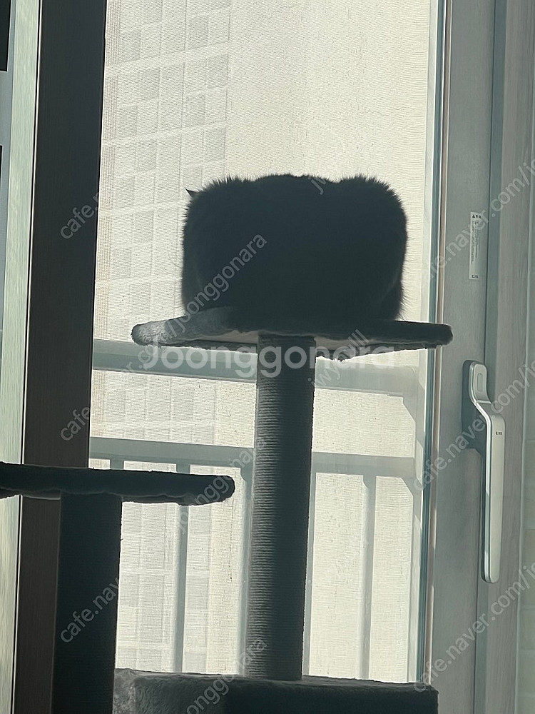 가이드모터 구해요 앙카링--0
