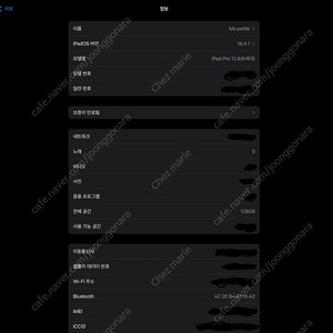 아이패드 프로 6세대 12.9인치 셀룰러 129g
