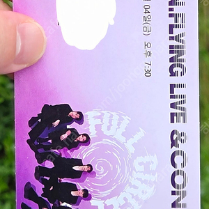 엔플라잉 부산 콘서트 정가양도