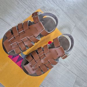 솔트워터 탄 11