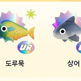 문피시.실러캔스 삽니다
