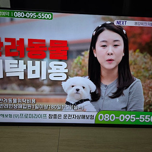 LG 55인치 UHD 스마트 벽걸이 TV