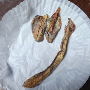 해구신