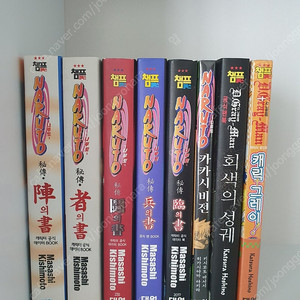 나루토 팬북, 카카시 비전 소설, 디그레이맨 팬북