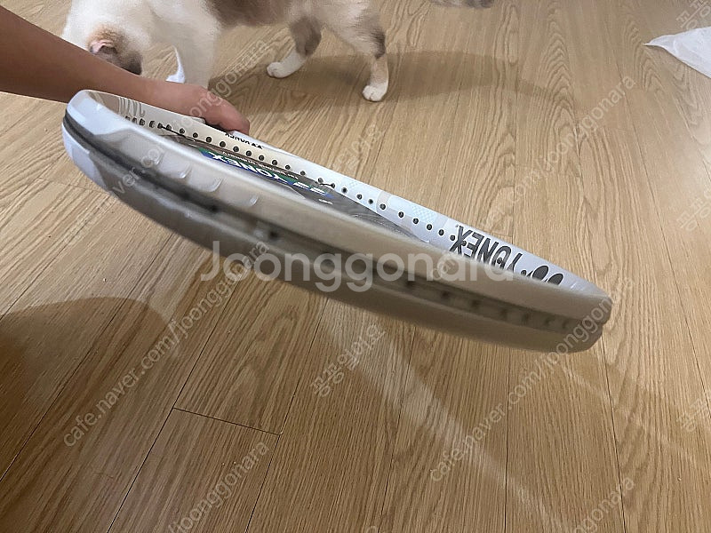 요넥스 브이코어 게임 샌드베이지 265G 1그립 여자 ...--2