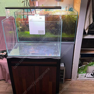 2자수초어항세트 이미지