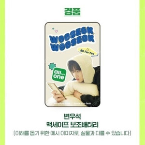 변우석 맥세이프 보조배터리
