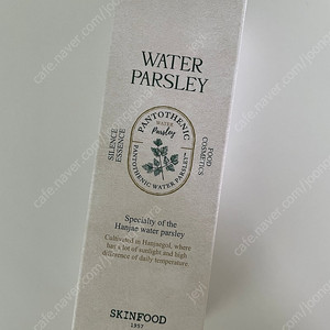 스킨푸드 판토테닉 워터 파슬리 사일런스 에센스 70ml