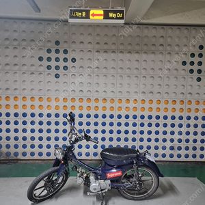 씨티100 커스텀