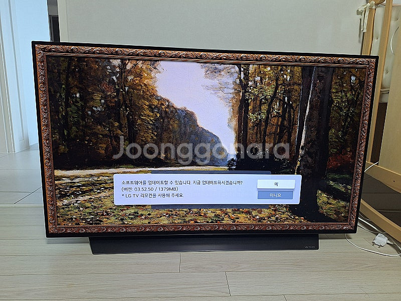 LG Oled 48인치 TV--1