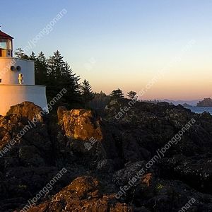 롯데시네마 [엘리오] 1명 예매 :: 6500원