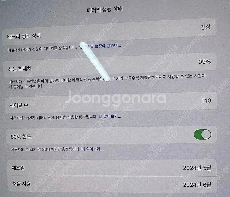 아이패드 프로 13 M4 셀룰러 256GB 실버--1