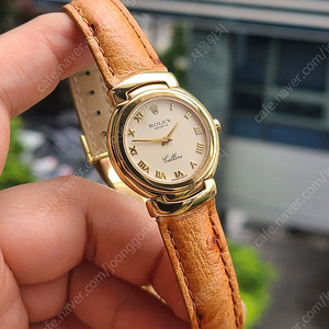 [정품] 롤렉스 셀리니 골드로만 18K 옐로우골드 금통 여성용 (Rolex Cellini Yellow Roman 18K YG)