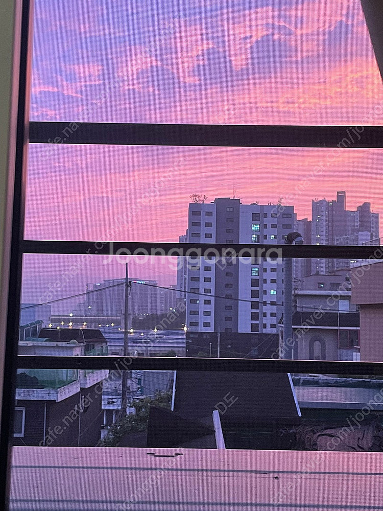 추천인X 여러개 삽니다. 아무나 가능--0