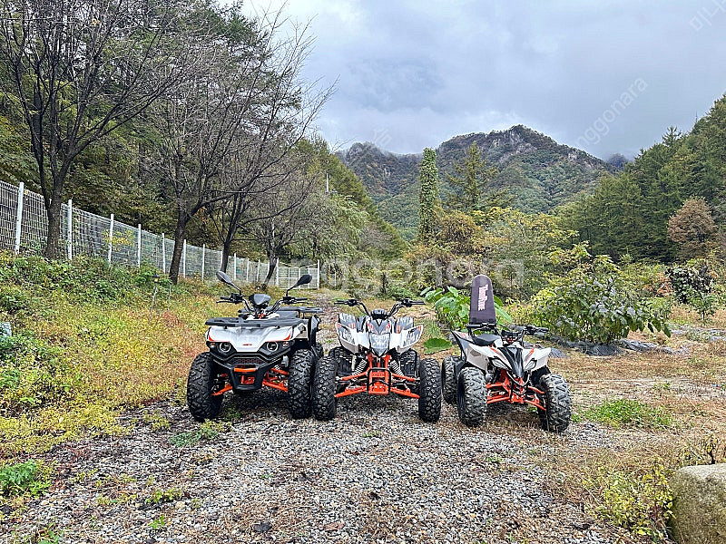 카요 AT110 - ATV.. 사발이.. 판매 합니다(...--1