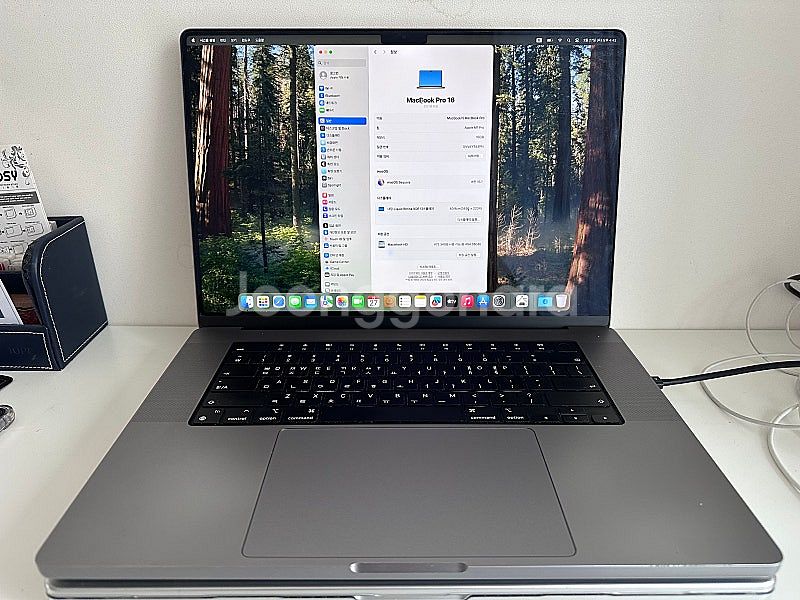 맥북프로 16인치 M1 Pro 16GB 512GB 스페...--2