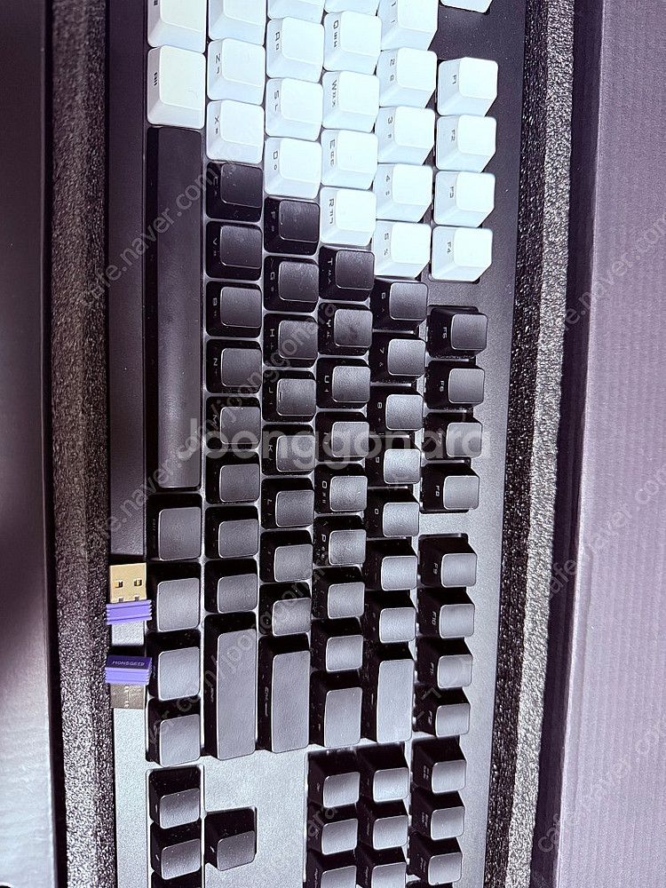 몬스긱 M5W, ILovbee87, gs104--0