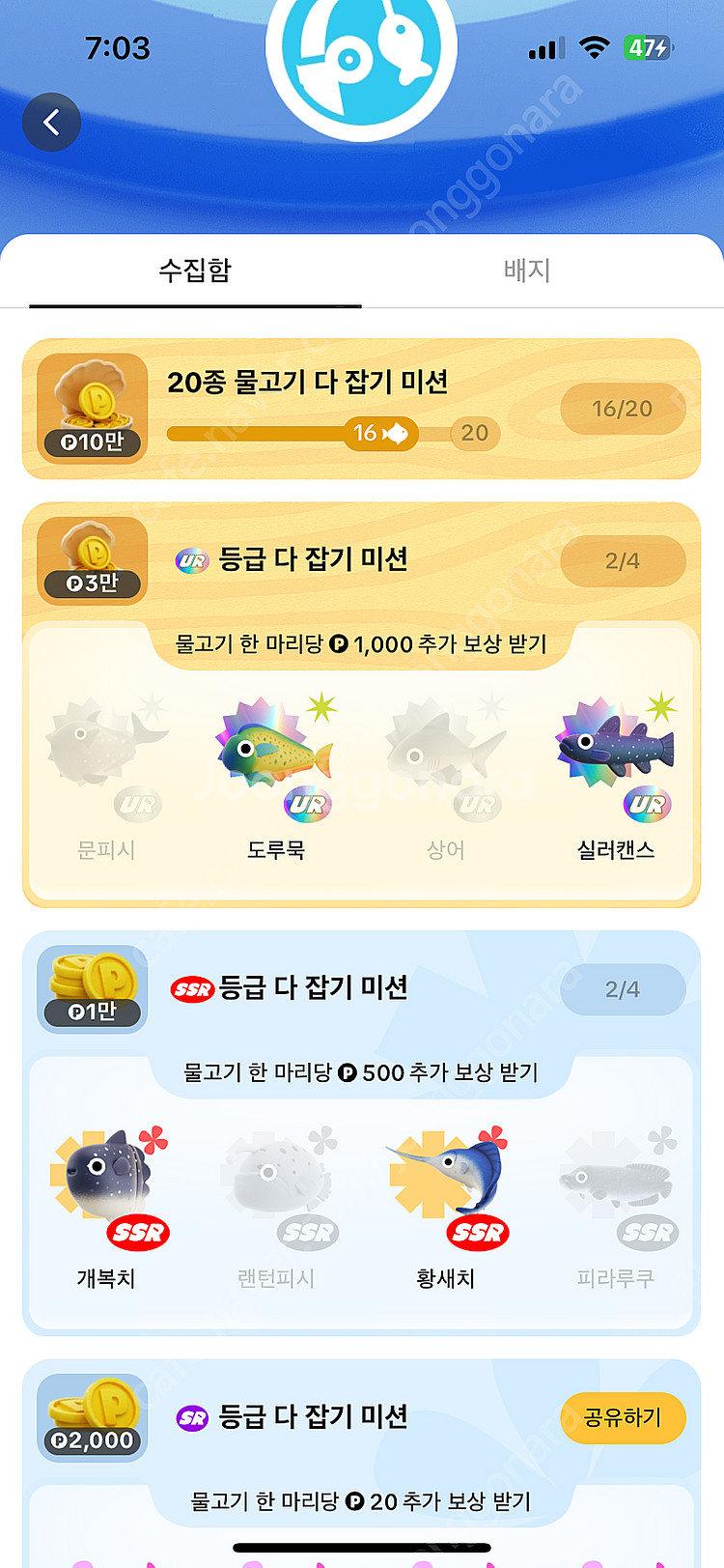 틱톡 물고기 삽니다(문피시, 상어, 랜턴피시, 피라쿠쿠...--0