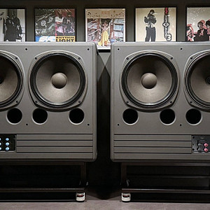 [TANNOY] 탄노이 SYSTEM DMT 215