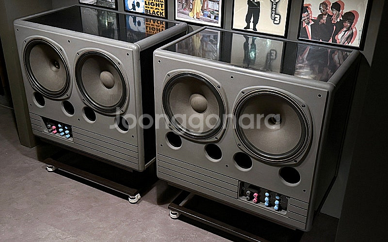 [TANNOY] 탄노이 SYSTEM DMT 215--2