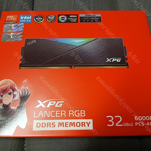 ADATA DDR5-6000 CL30 LANCER RGB 블랙 64GB(32x2) 서린 팝니다.