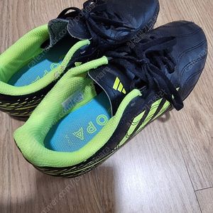 아디다스 키즈 풋살화 225사이즈
