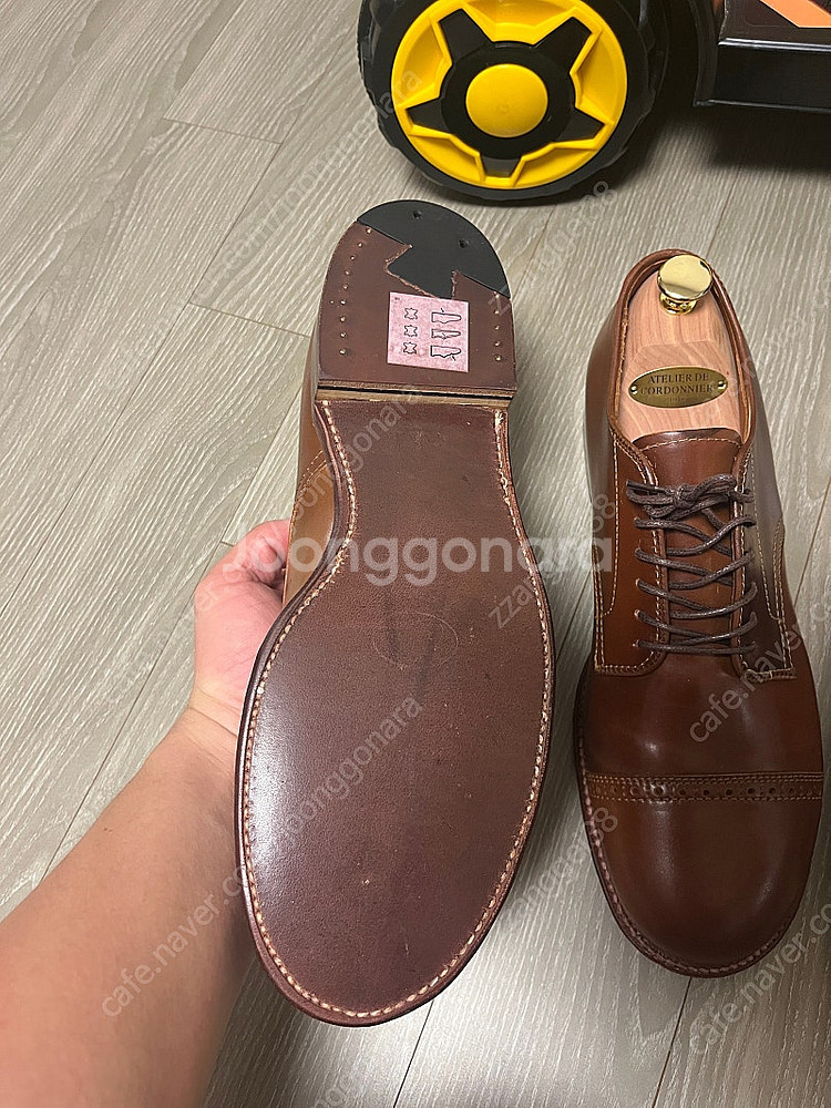 알든 코도반 희귀컬러 a2507 9D--4