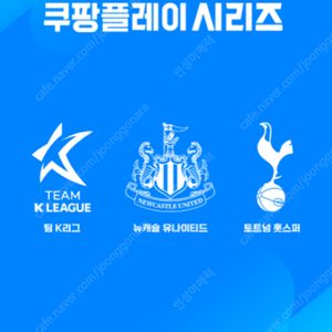 토트넘vs뉴캐슬 프리미엄A 2열 2연석 판매