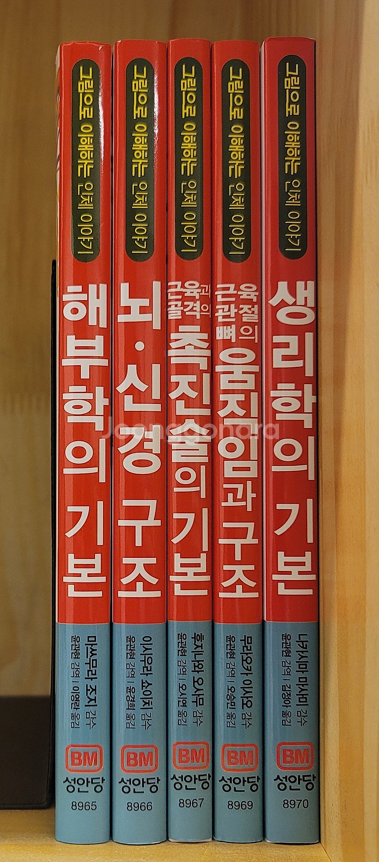 소년소녀세계동화명작전집. 블랙 스완 로버트 브라우닝 시...--5
